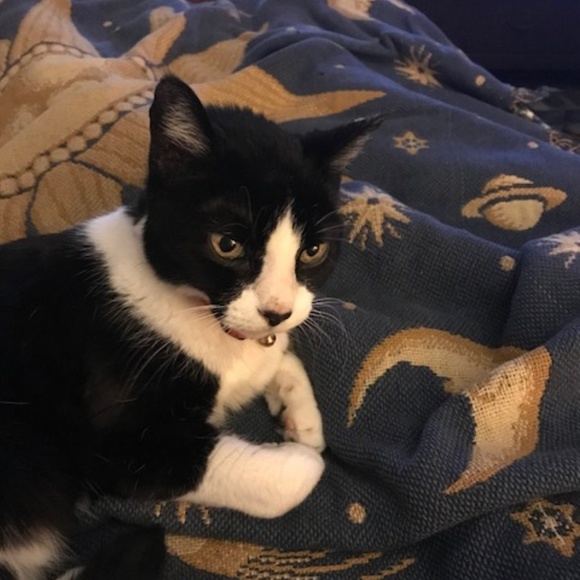 Meet Your Posher, Susan - Picture 1 of 1